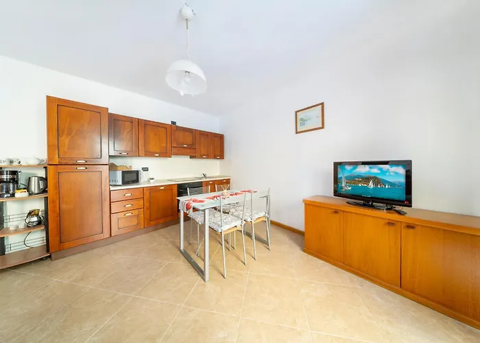 Clivia *