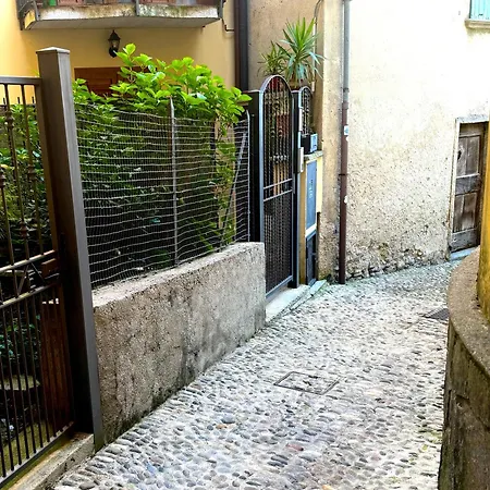 Clivia * Белладжо