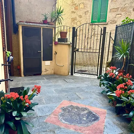 Clivia Белладжо