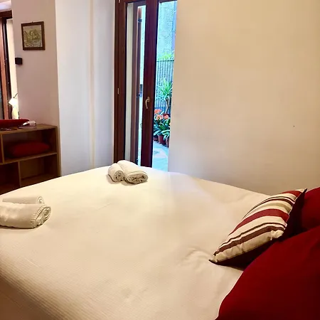 Clivia * Белладжо