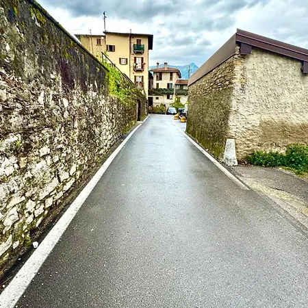 Clivia * Белладжо